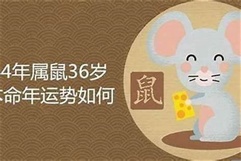 1960年屬鼠|1960年属鼠的是什么命，1960年出生的属鼠人一生运势如何